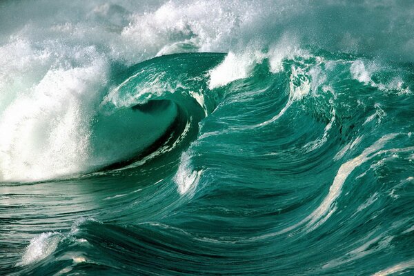 A wave churns up foam in the ocean