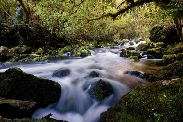 Schöner Wasserfall unter den Steinen im Wald