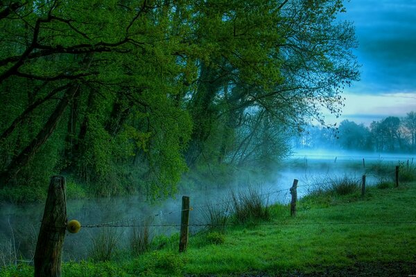 Mañana en un Prado junto al río con niebla