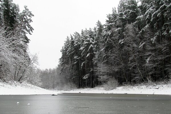 Estanque de invierno cerca del bosque