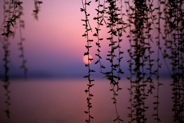 Puesta de sol en el lago de China