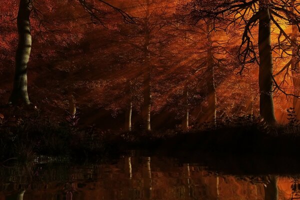 Los rayos rojos del sol del atardecer perforan el follaje del denso bosque