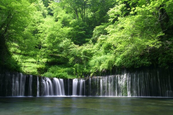 Misteriosa cascada en las profundidades del bosque