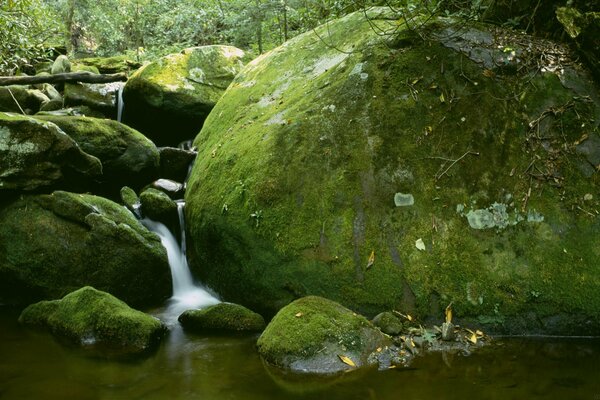 Hermosas imágenes de una cascada en las rocas