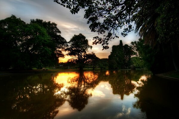 Los árboles de tёmnye y la puesta de sol se posan en el agua