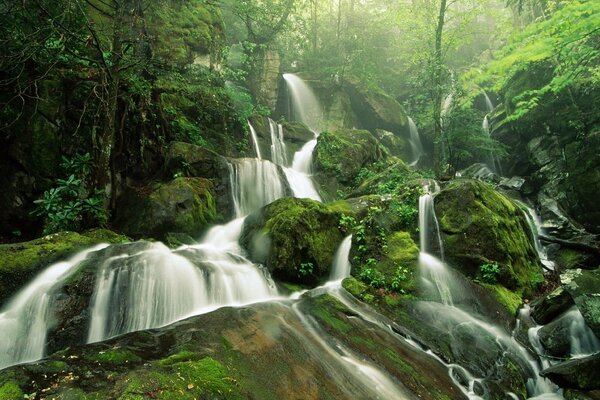 Ein unvergesslicher Wasserfall inmitten des Waldes