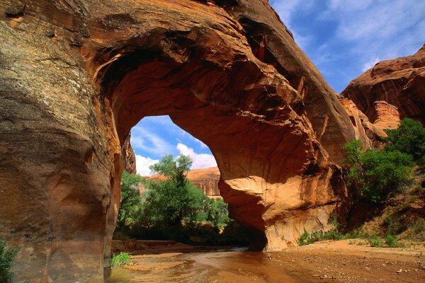 Viaje a los confines de la Tierra o la llamada de los antepasados