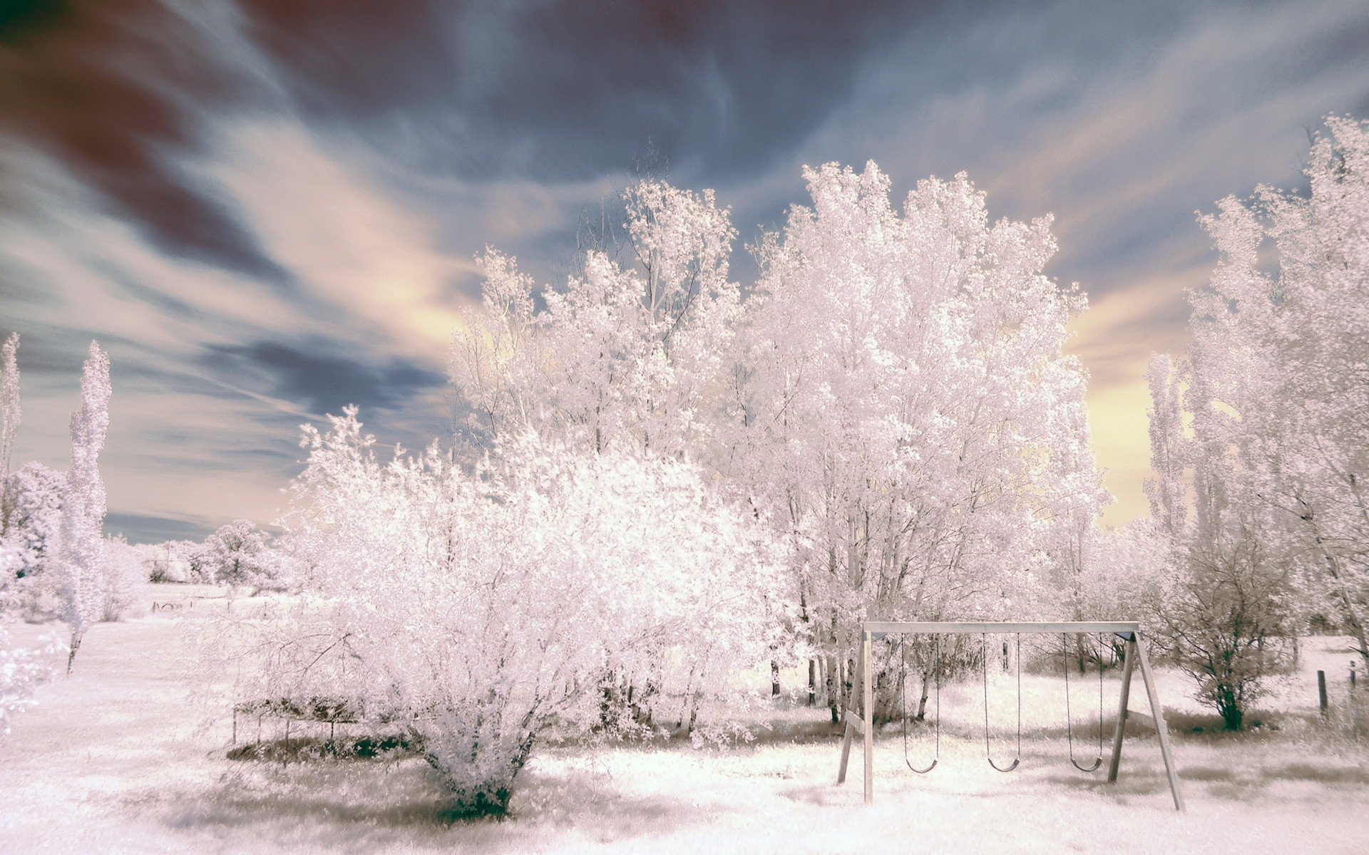 altalene alberi bianco