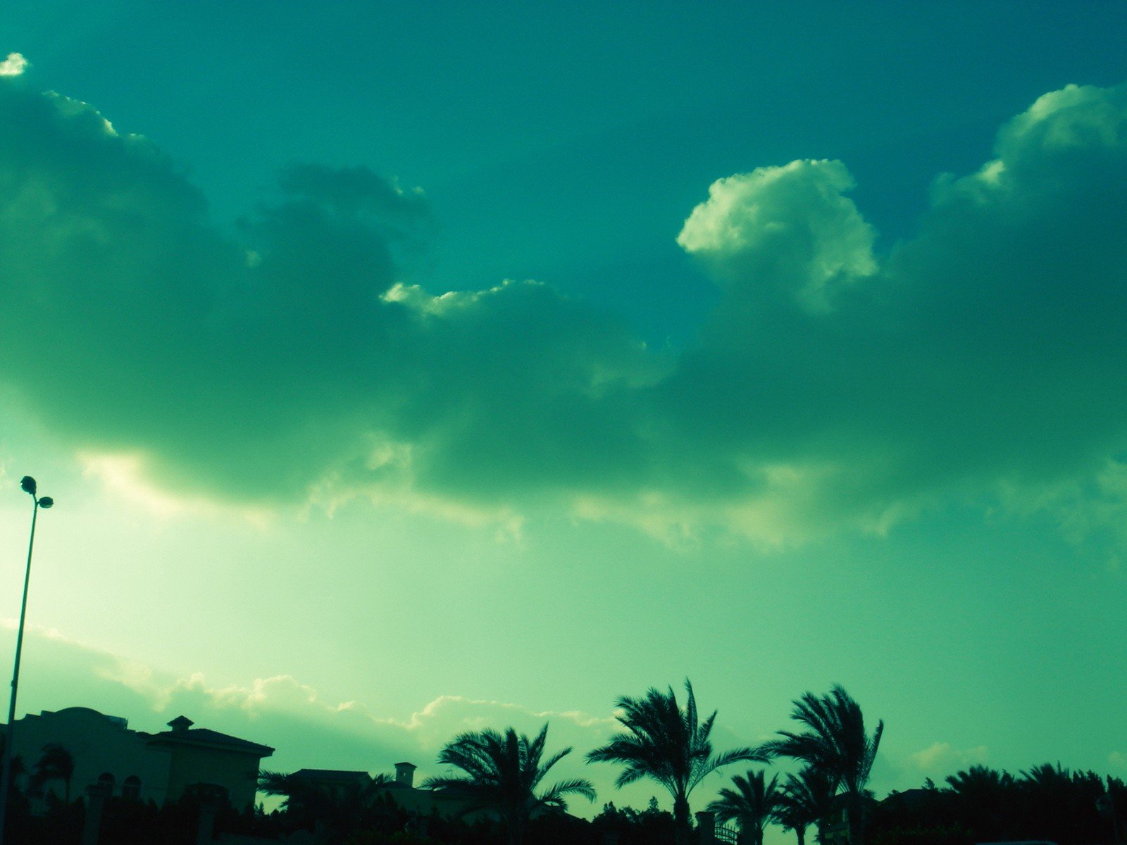 nuages ciel palmiers couleur vert