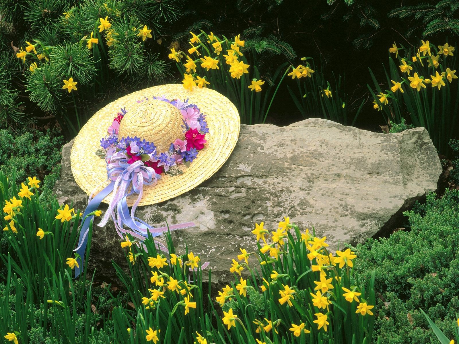 louisville kentucky chapeau pierre fleurs