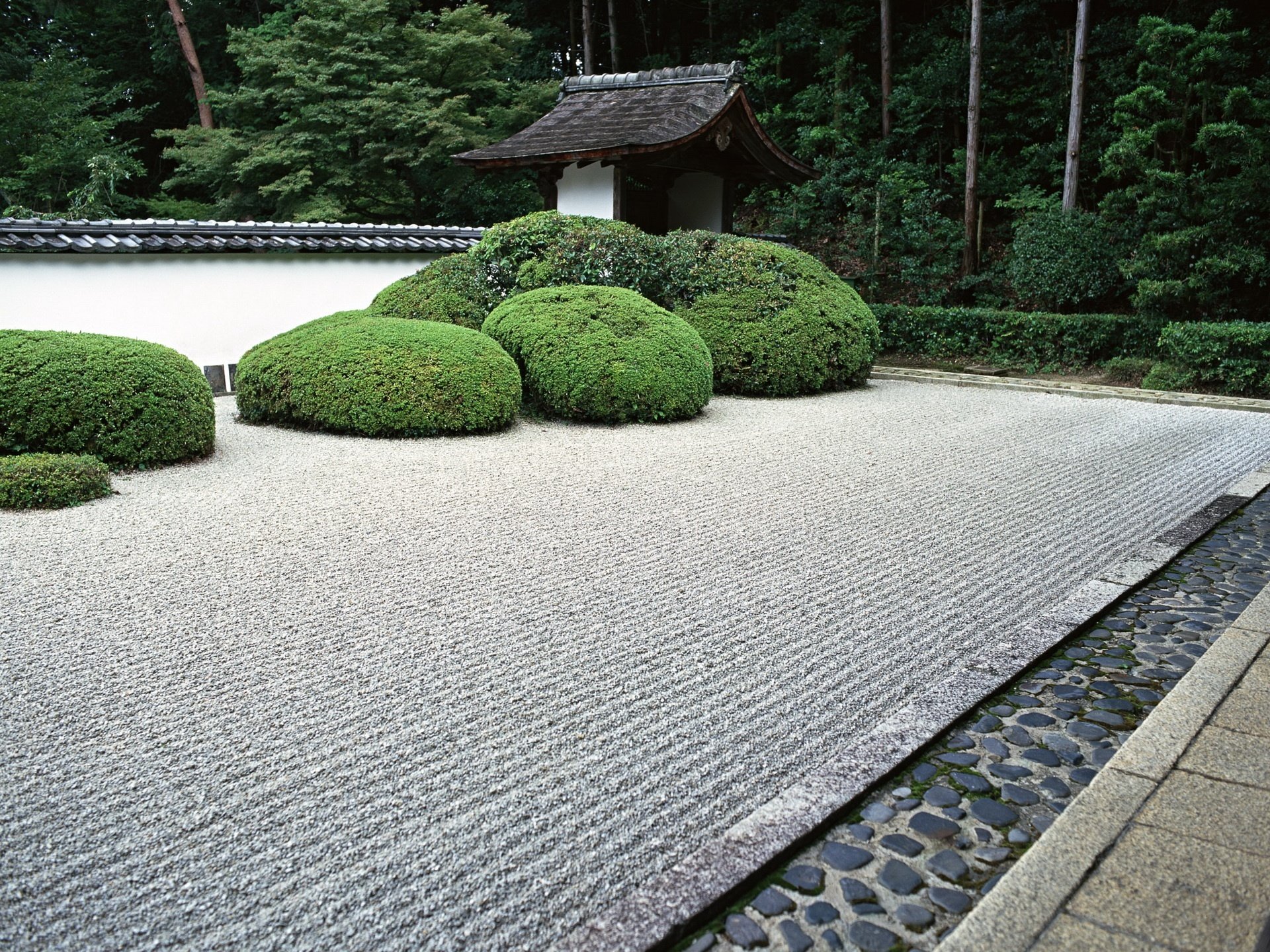 giappone giardino cespugli