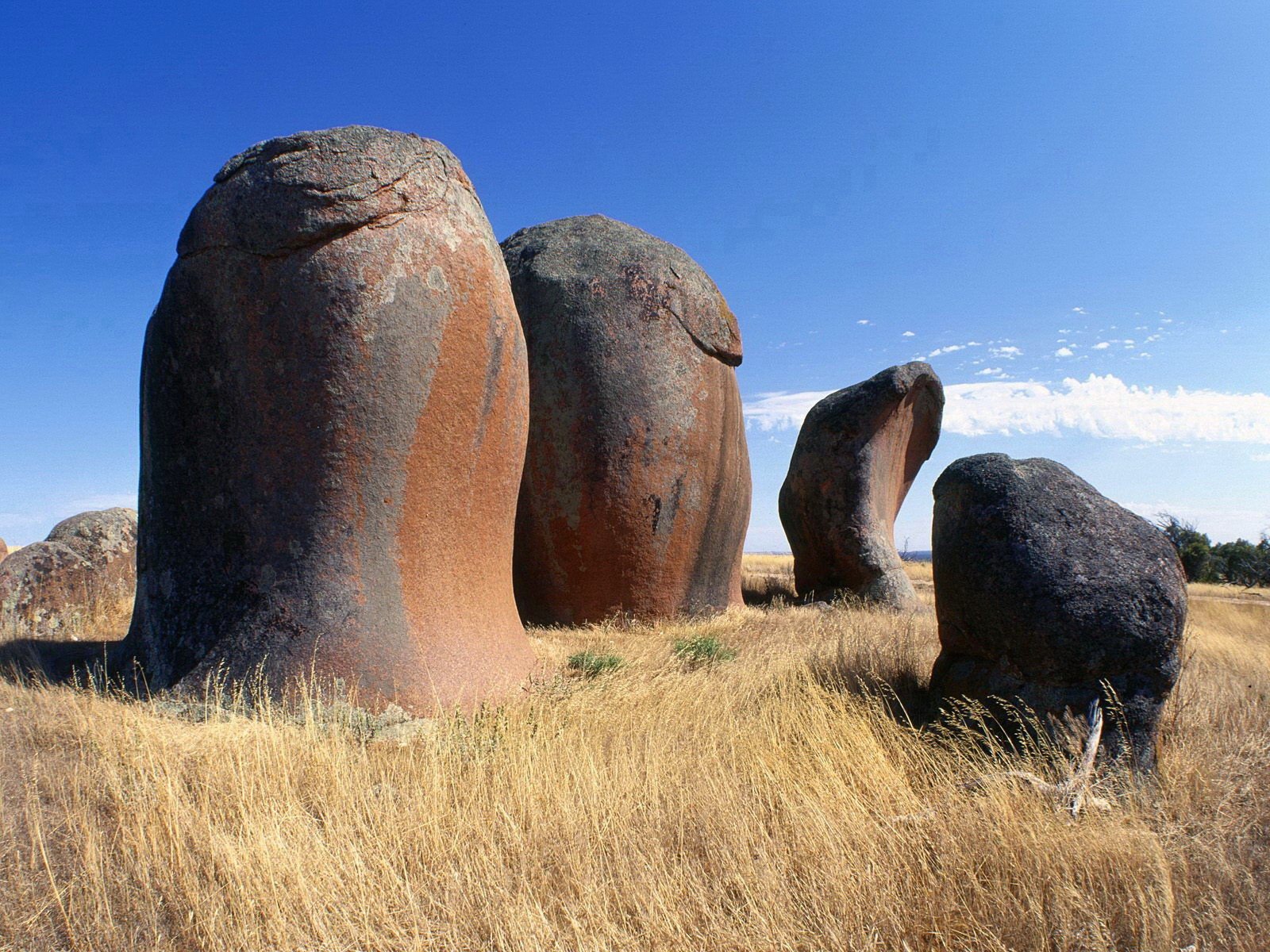 piedras hierba cielo