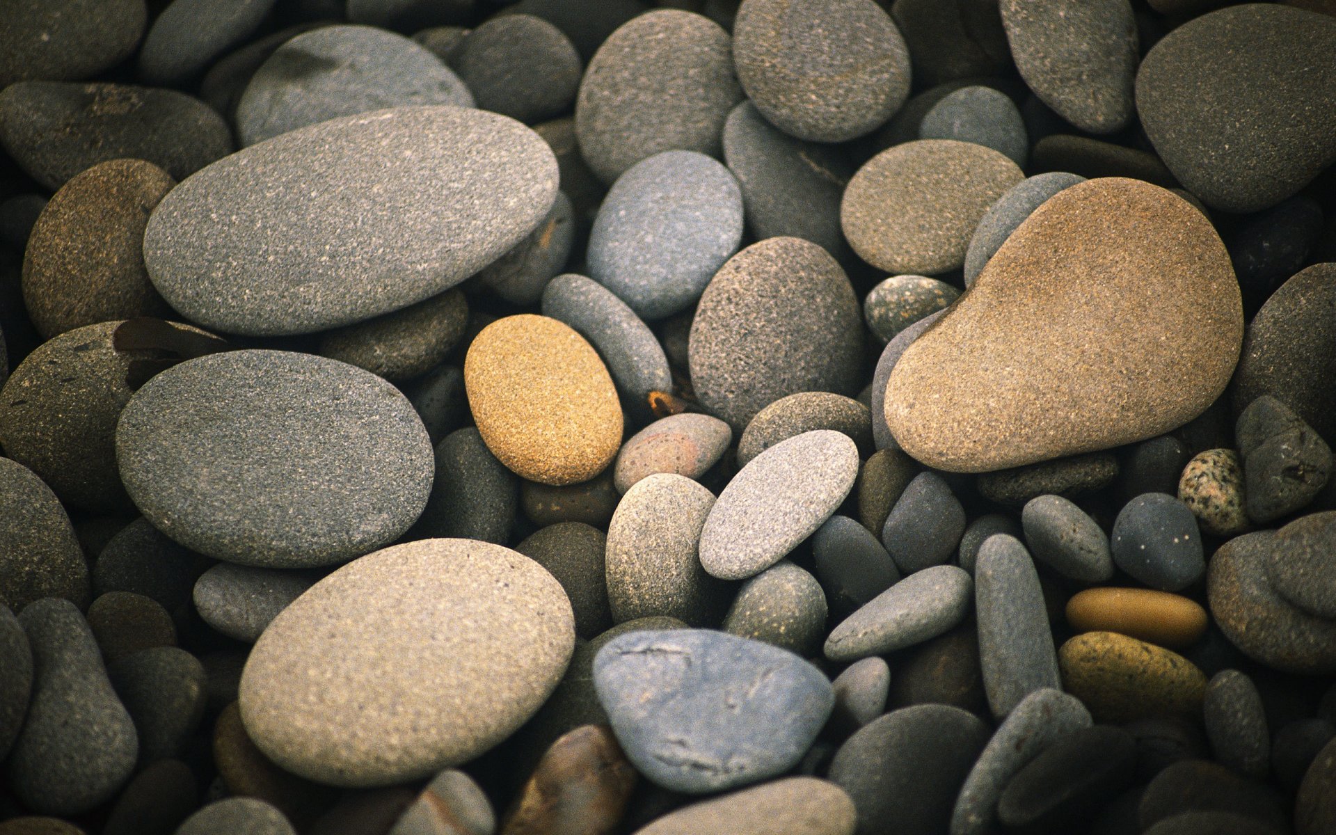 piedras guijarros