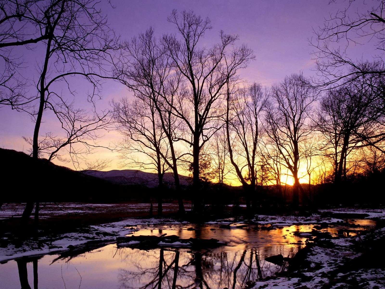 tree creek winter snow