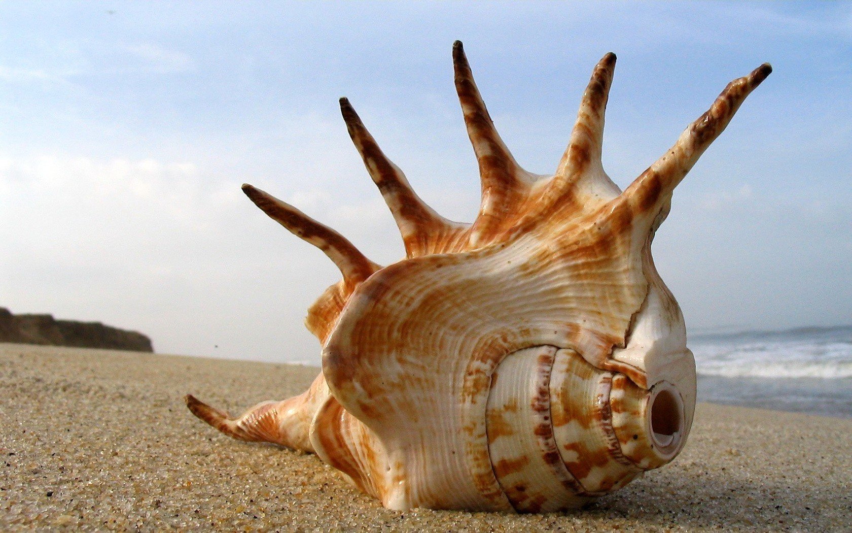 waschbecken riesig sand strand