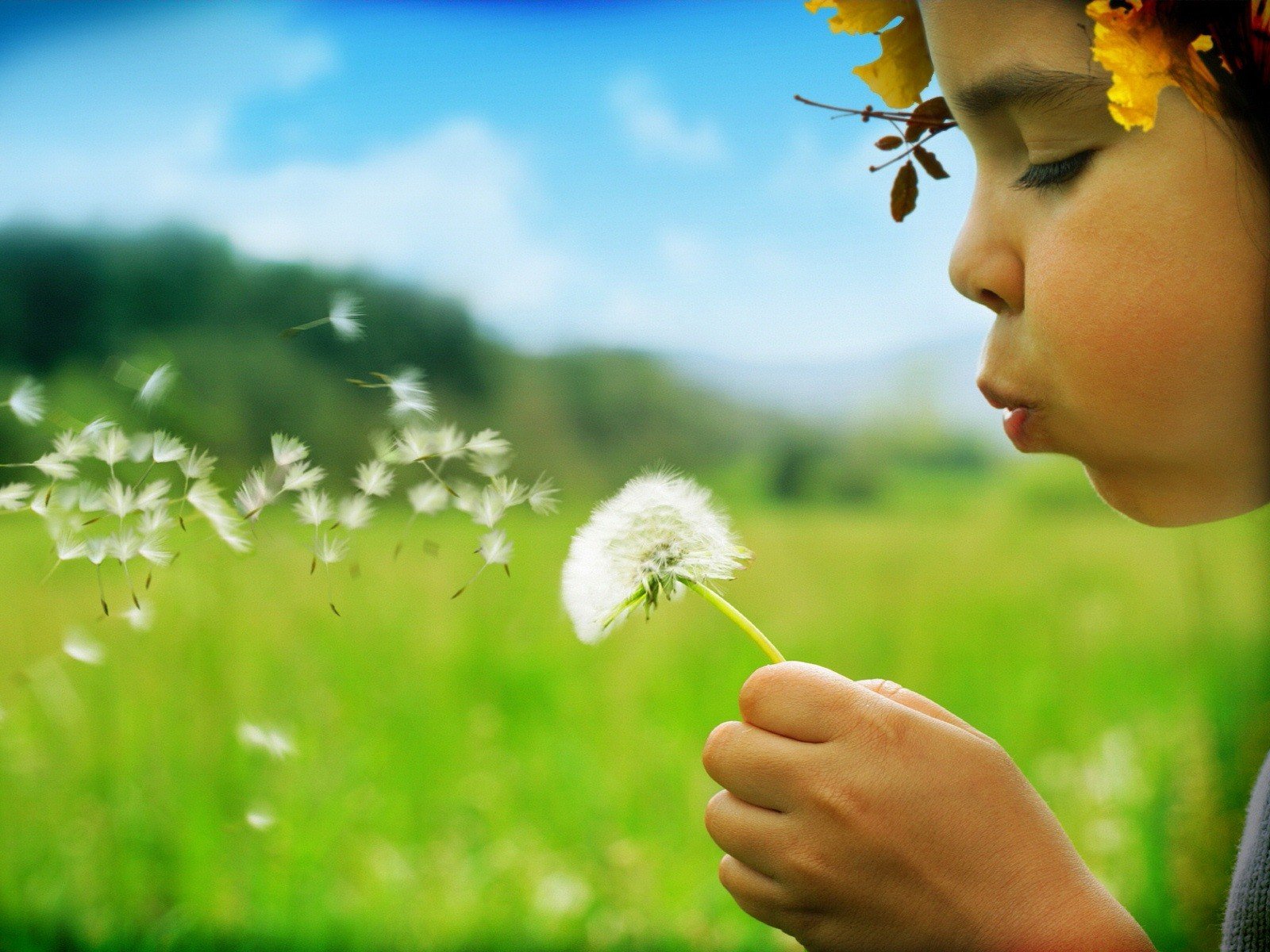 diente de león niña verano verde