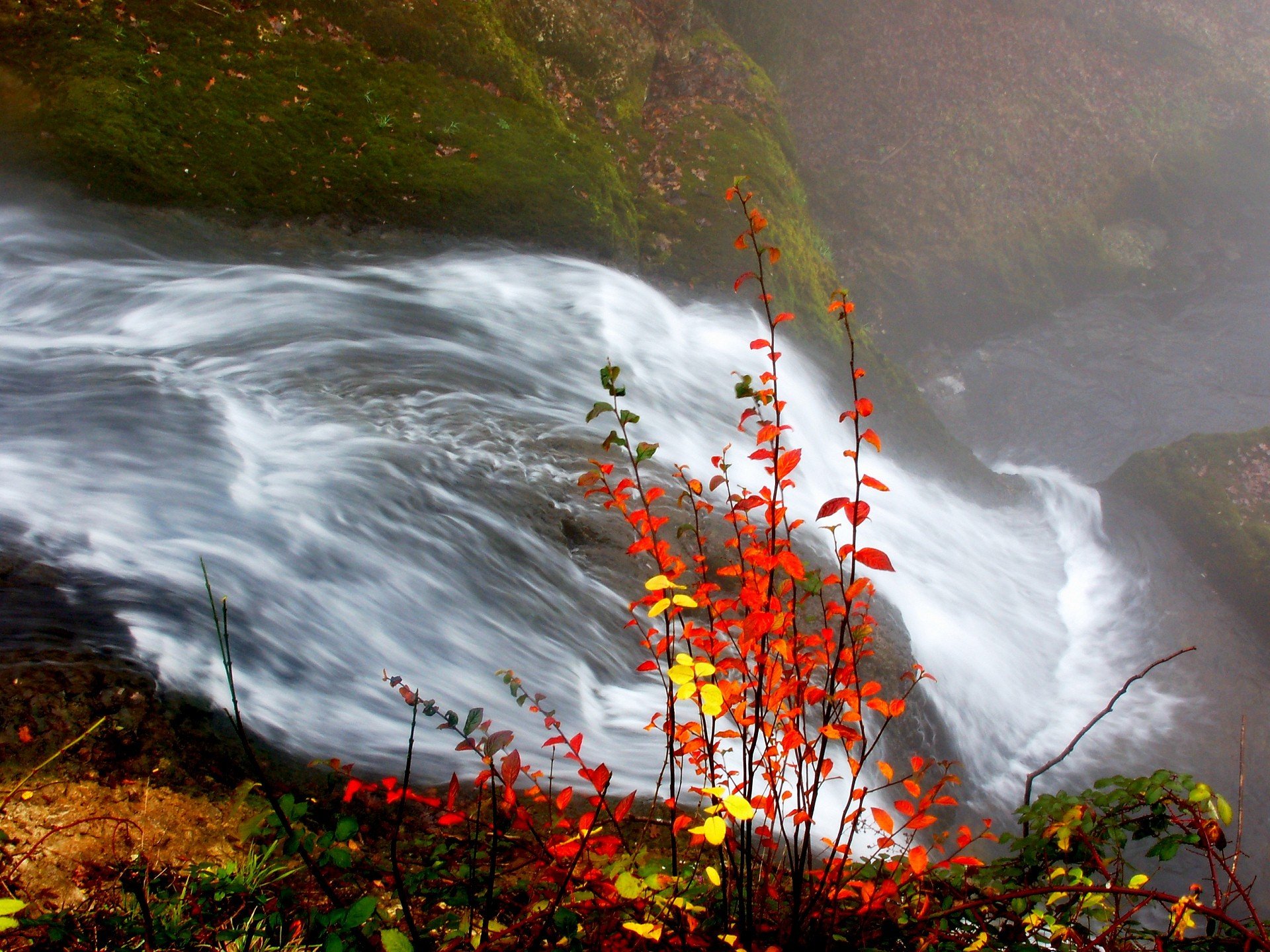 cascade rivière automne feuilles