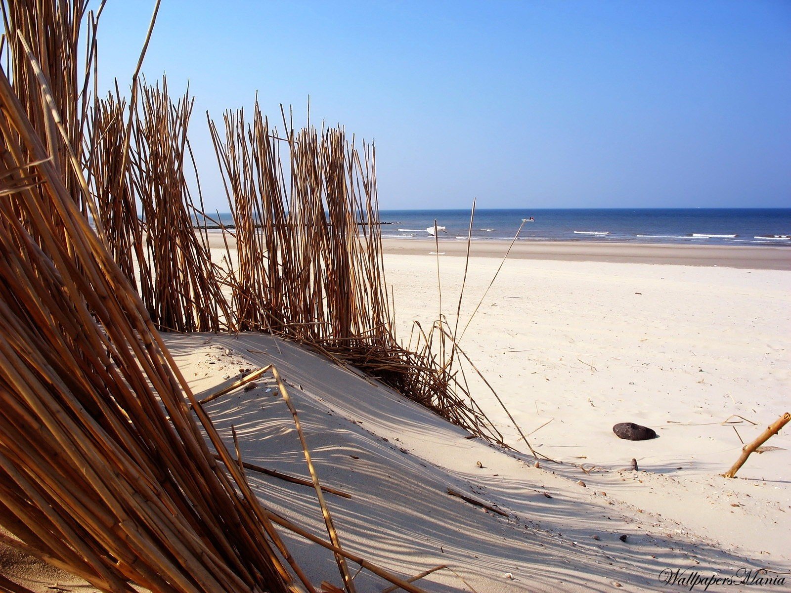 piasek woda plaża