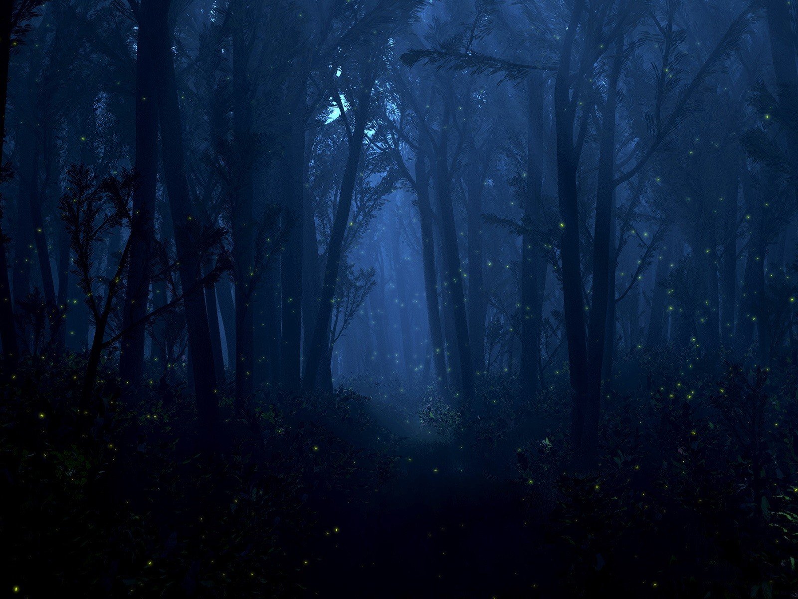 noche luciérnagas luces luz bosque árboles