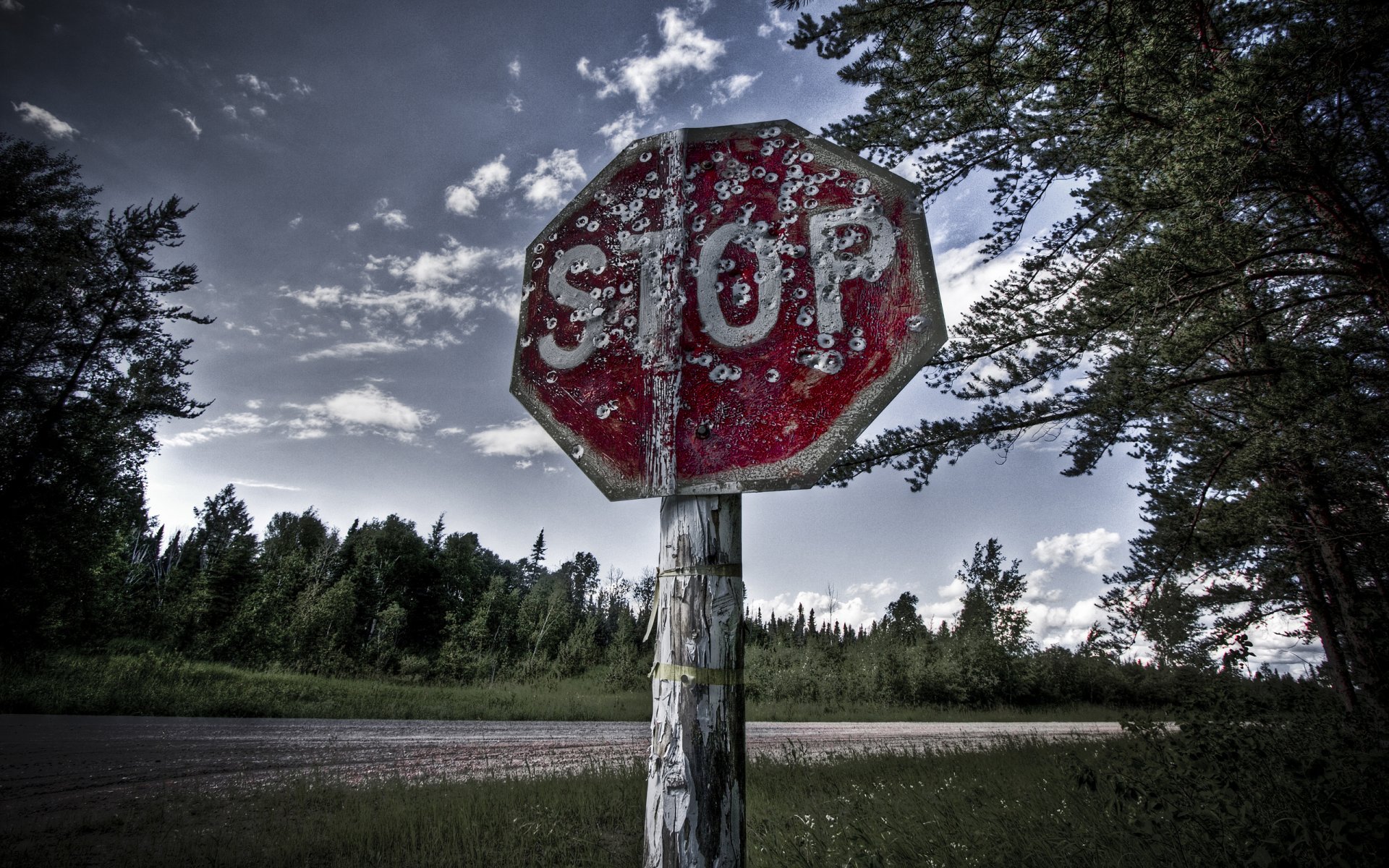 zeichen stop stop bäume löcher