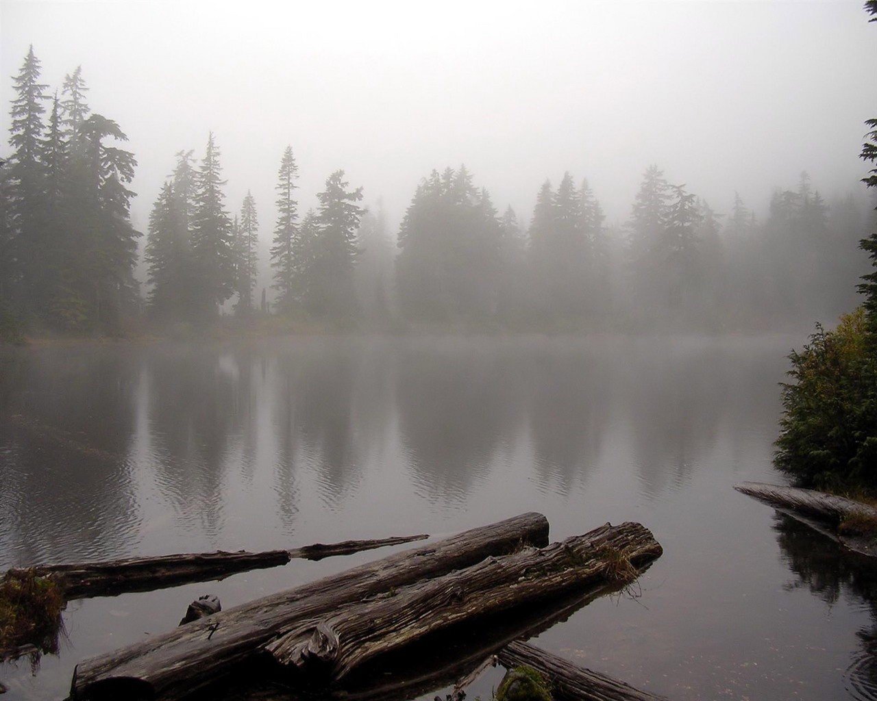 lago agua bosque niebla