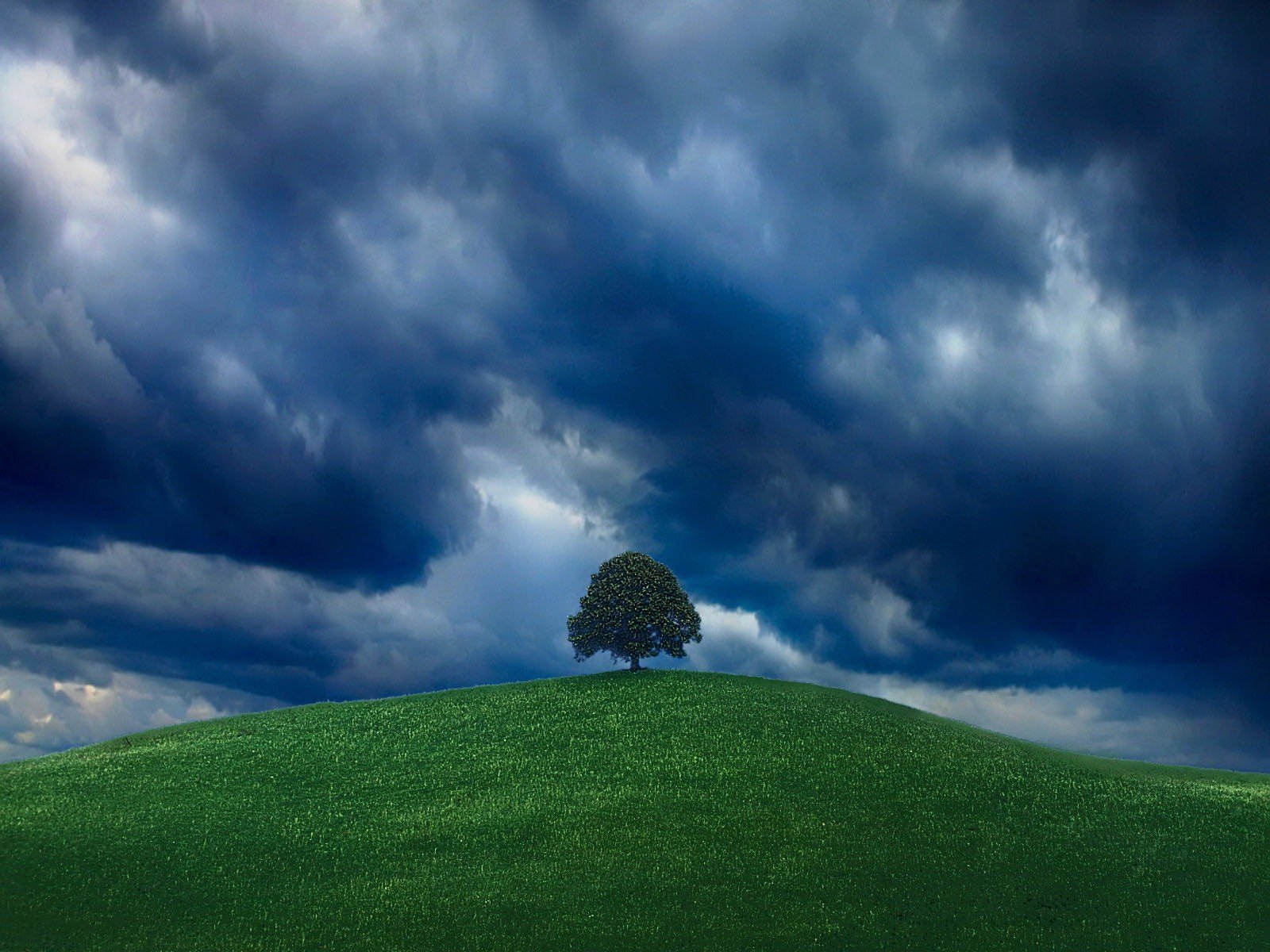 green tree sky hill