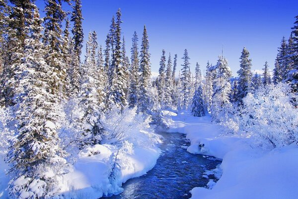 Blue river in the forest in winter