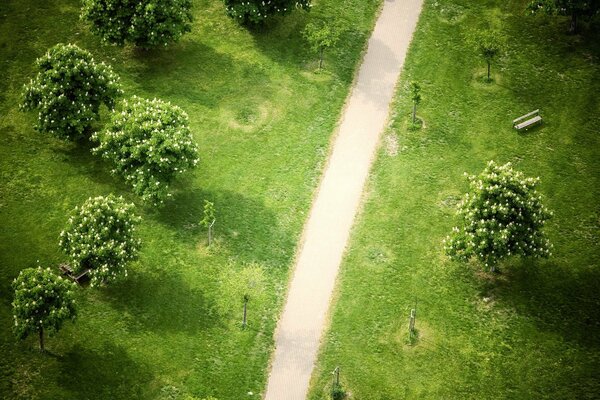 Draufsicht auf den Parkweg