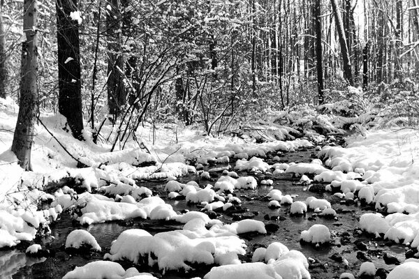 A stream in a snowy forest black and white background