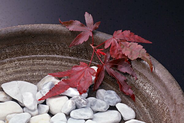 Feuilles rouges et pierres dans un vase