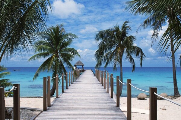 Muelle en la playa de la Polinesia con palmeras