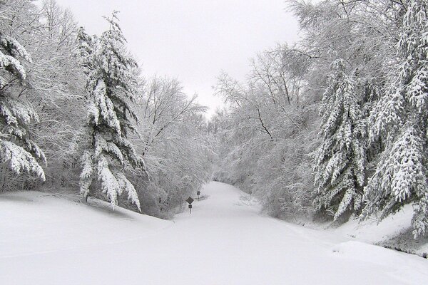 Winter path in nowhere