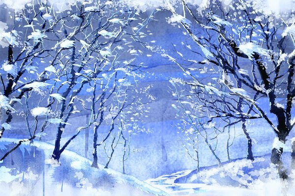 Winter forest in cold winter