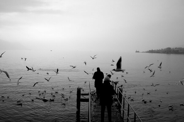 Feeding seagulls on the pier, black and white photo