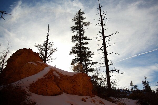 Blue clouds in the forest in the mountains