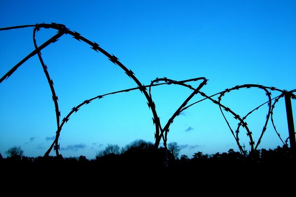 Barbed wire on the background of the sky