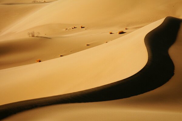 Deserto al tramonto. Ombre di Barchan