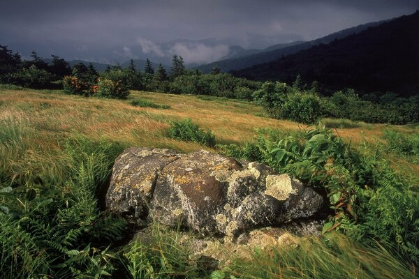 A big stone lies on the grass in a thunderstorm