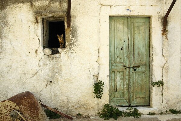 An old wall with a window and a cat