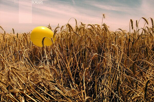 Boule jaune en épis d or