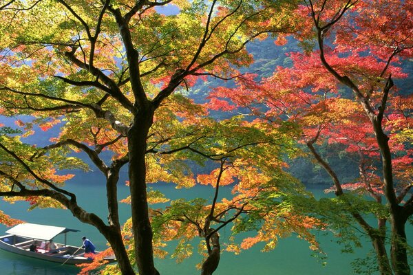 Autumn trees on the background of a floating boat