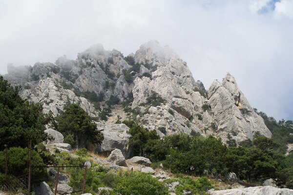 La dura naturaleza de la montaña en la niebla