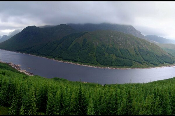 River forest mountain beautiful landscape