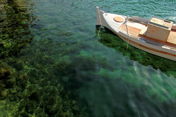 Lit en bois dans l eau verte