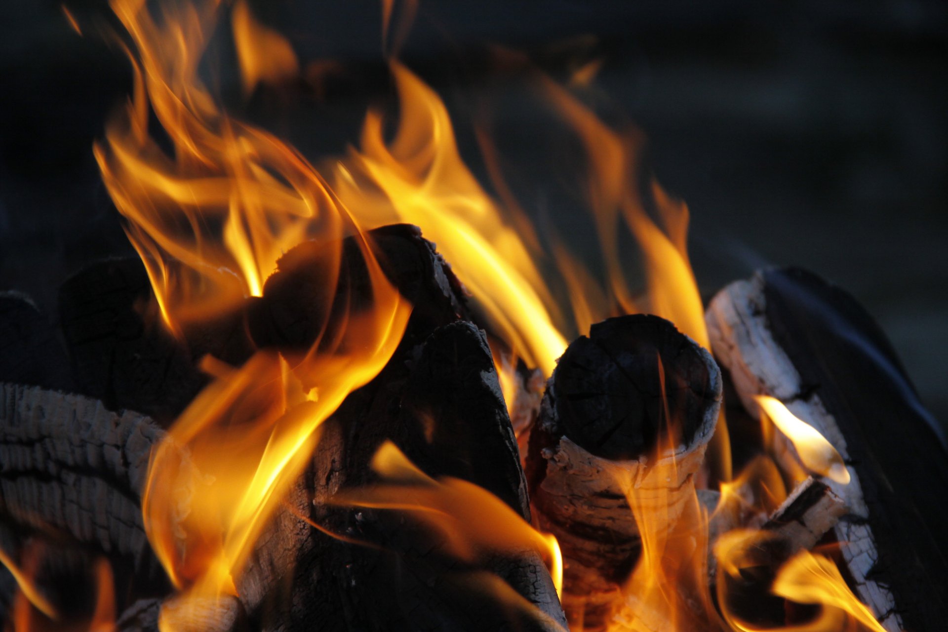 sfondo carta da parati macro fuoco danza falò fiamme legna da ardere carboni