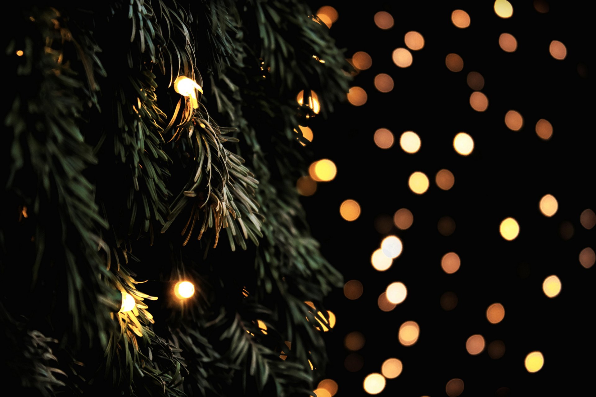 weihnachtsbaum tanne zweige girlande lichter gelb bokeh