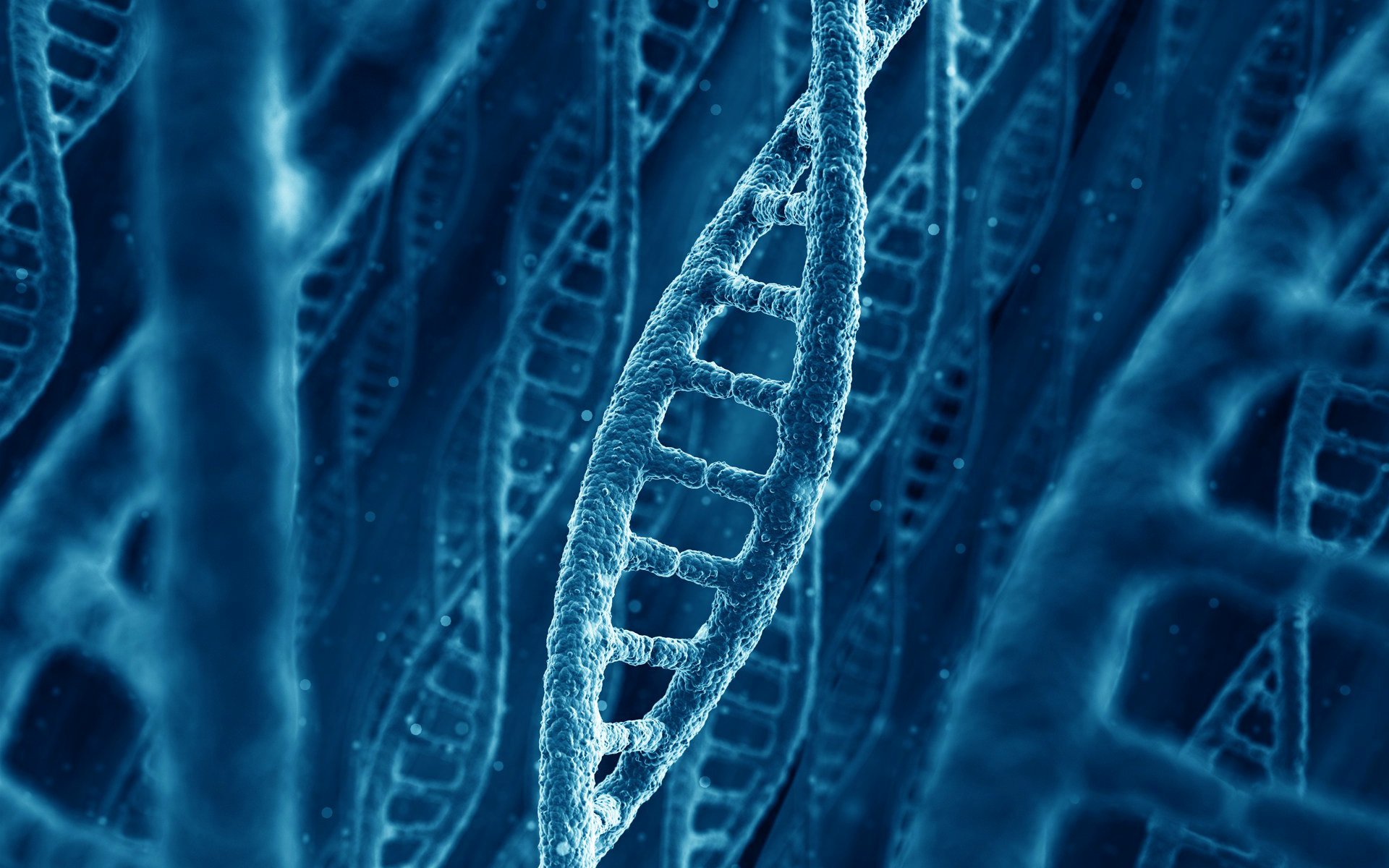 molekül dna kette natur