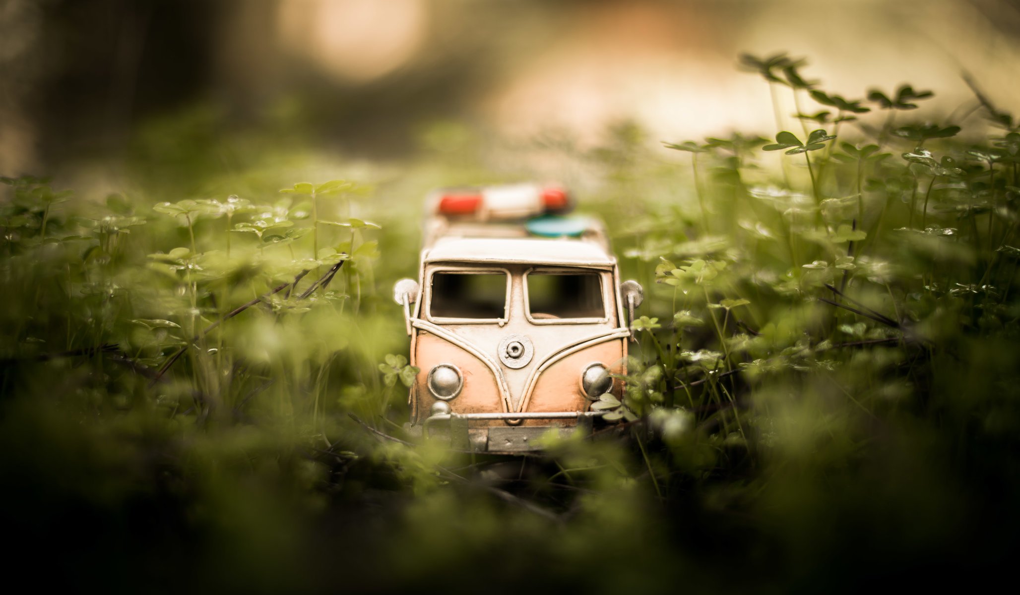 jamie frith photographe photo modèle voiture mannequin vw minibus jouet herbe macro tir