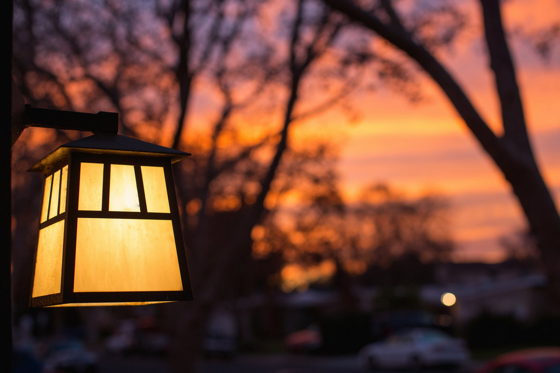 lantern light yellow macro trees evening sunset blur