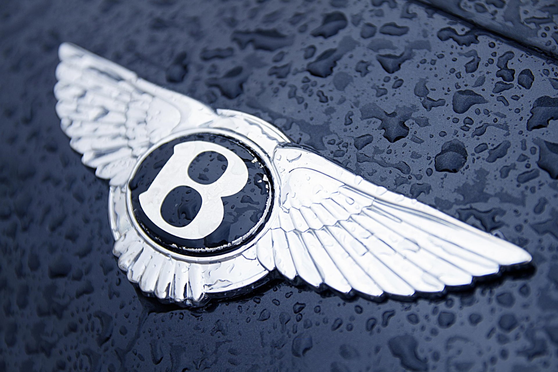 logo icon hood drops water bentley